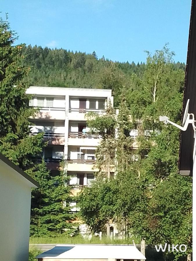 Apartament Schwarzwald Anna - Lena 44 Todtmoos Zewnętrze zdjęcie
